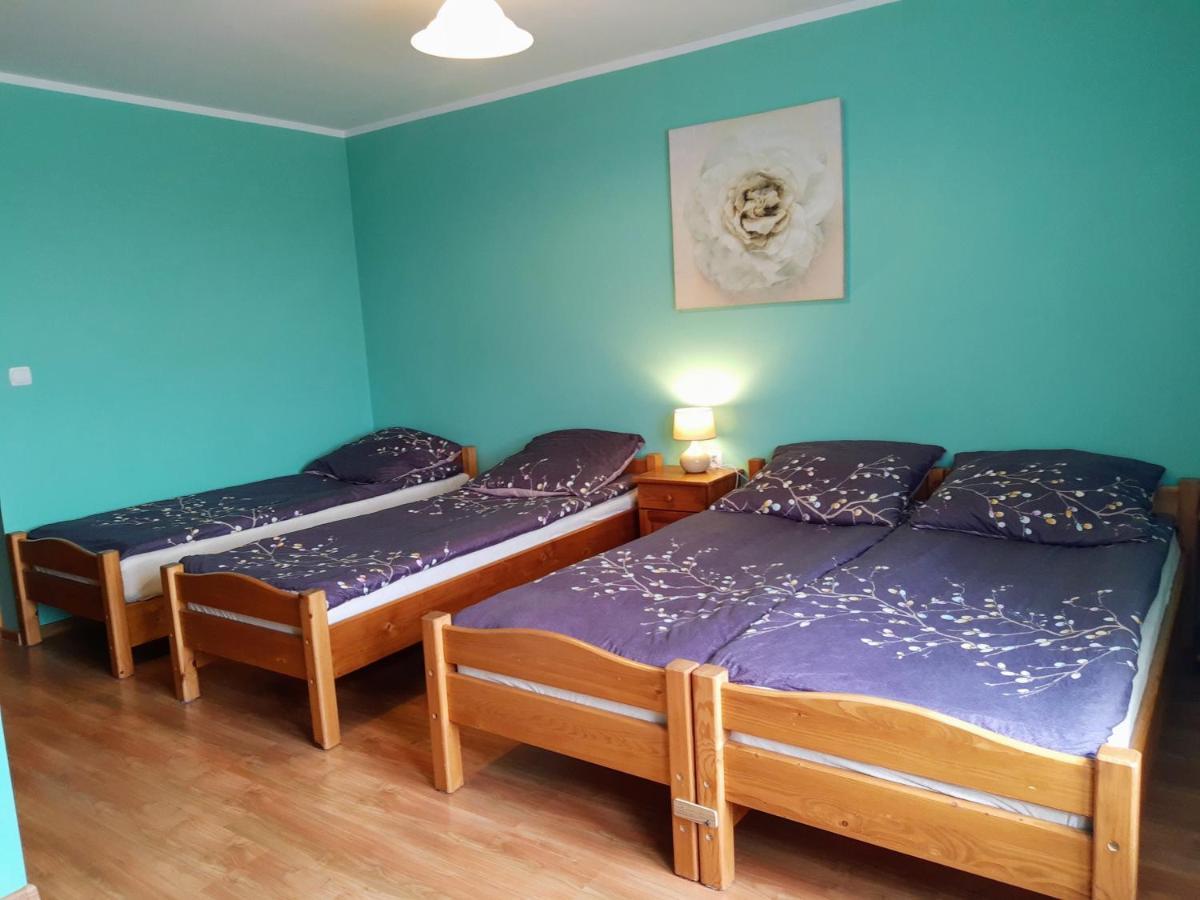 Willa Wyrostek Villa Bańska Esterno foto