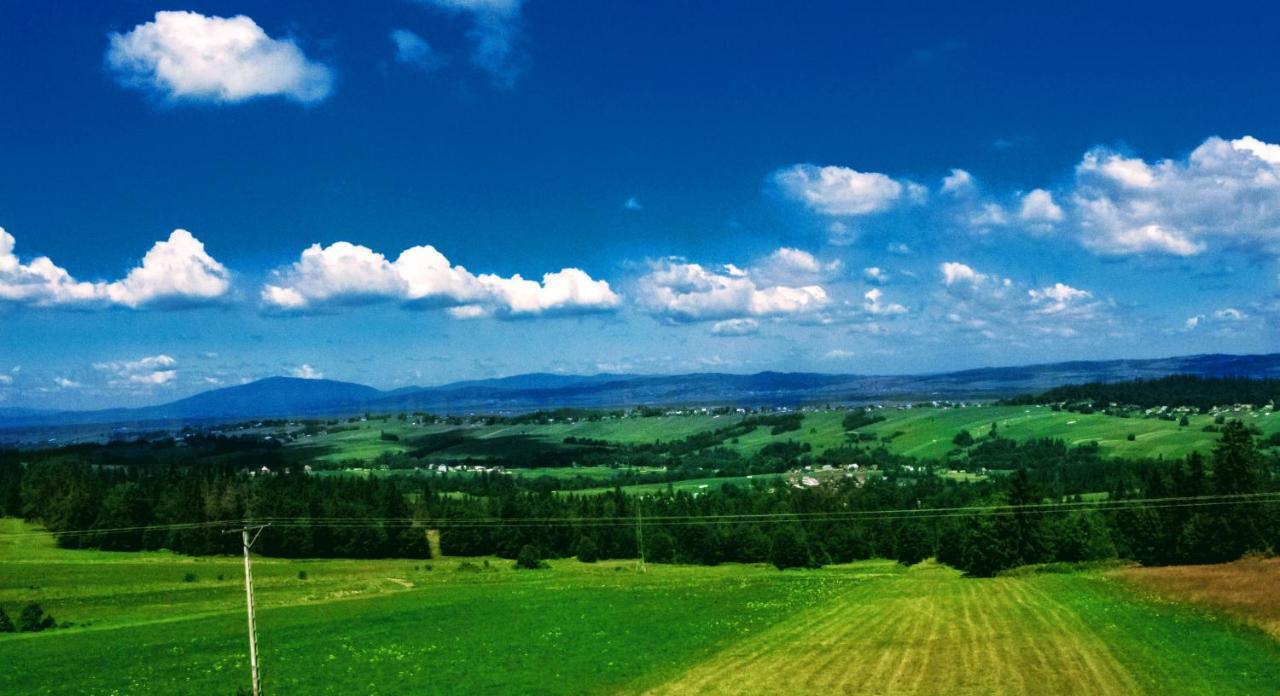 Willa Wyrostek Villa Bańska Esterno foto